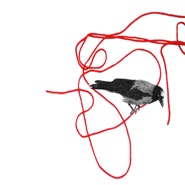 The Inbetween — crow amid tangled red threads